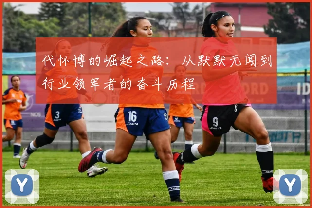 代怀博的崛起之路：从默默无闻到行业领军者的奋斗历程