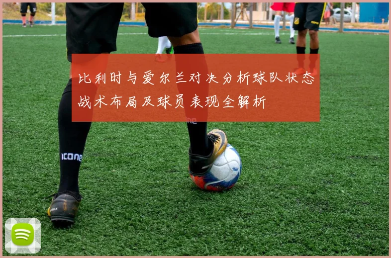 比利时与爱尔兰对决分析球队状态战术布局及球员表现全解析