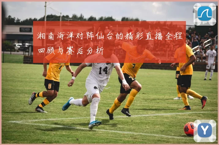 湘南海洋对阵仙台的精彩直播全程回顾与赛后分析