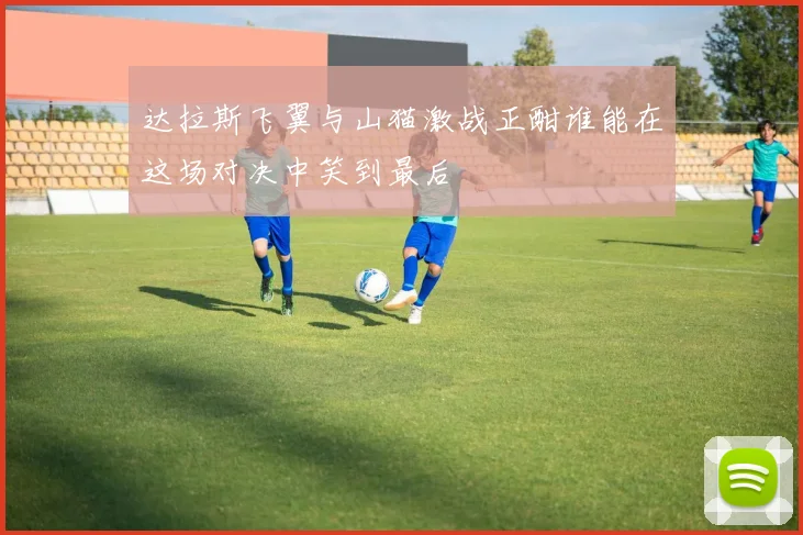 达拉斯飞翼与山猫激战正酣谁能在这场对决中笑到最后